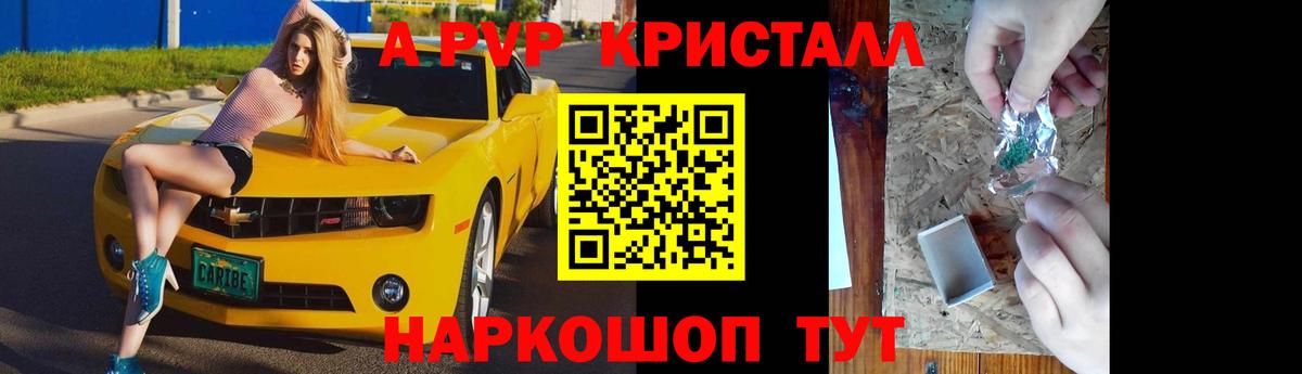 Альфа ПВП СК Вышний Волочёк