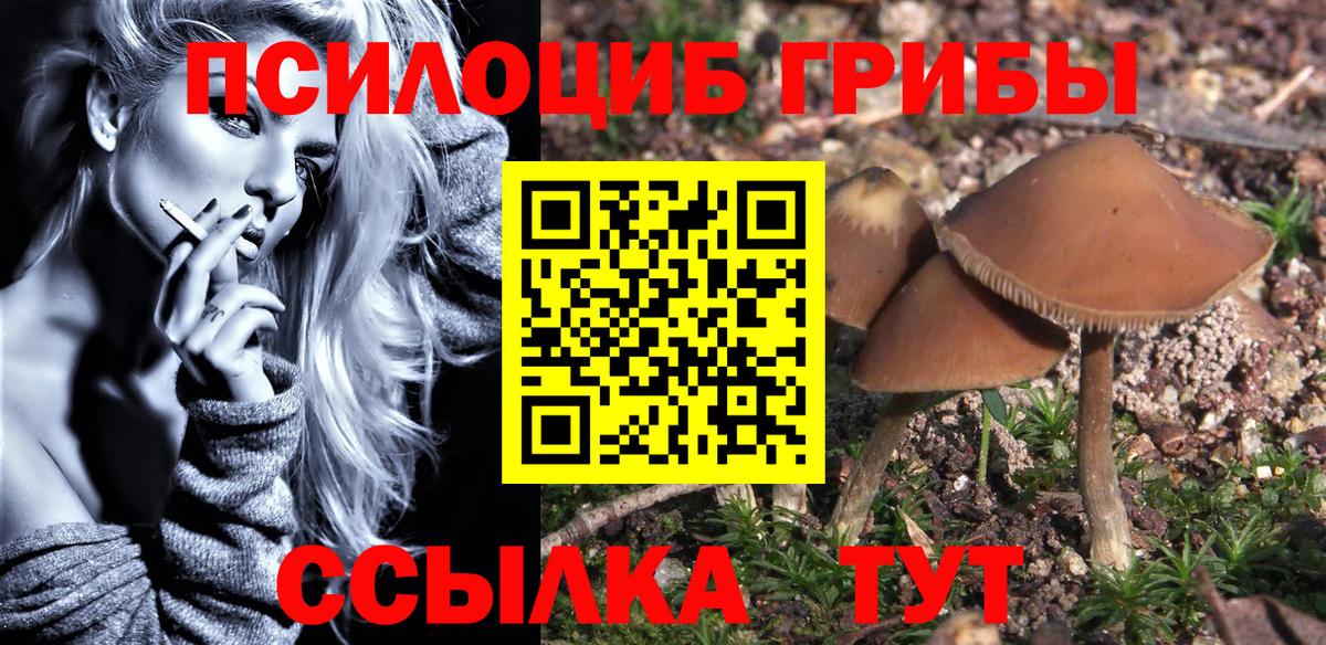 Псилоцибиновые грибы Magic Shrooms  Псилоцибиновые грибы мицелий  Вышний Волочёк  Вход с VPN 